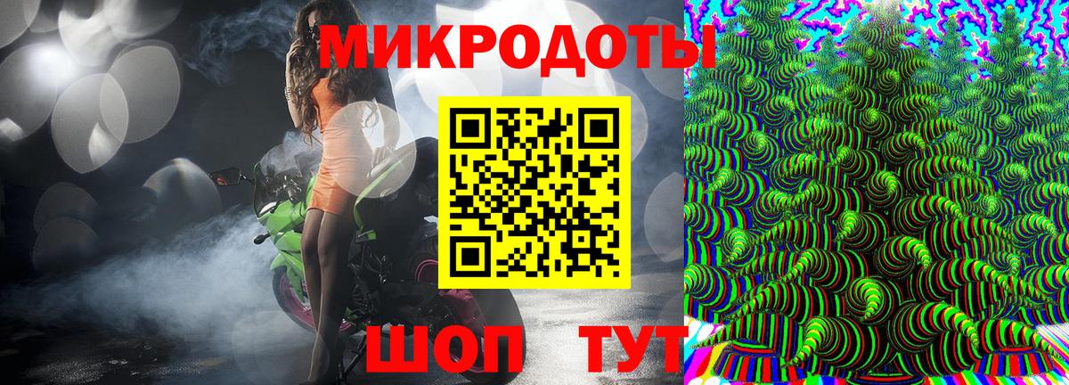 Галлюциногенные грибы Psilocybine cubensis Туапсе